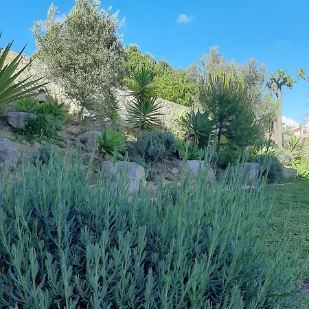 Lucie Lime بيت ضيافة 4*