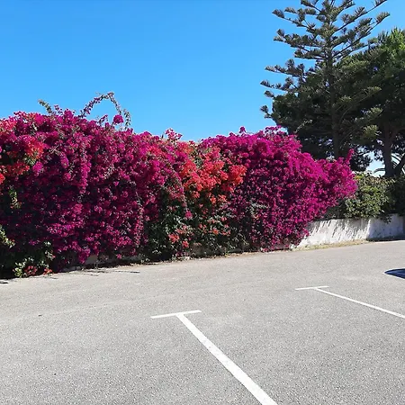 بيت ضيافة Lucie Lime Luz